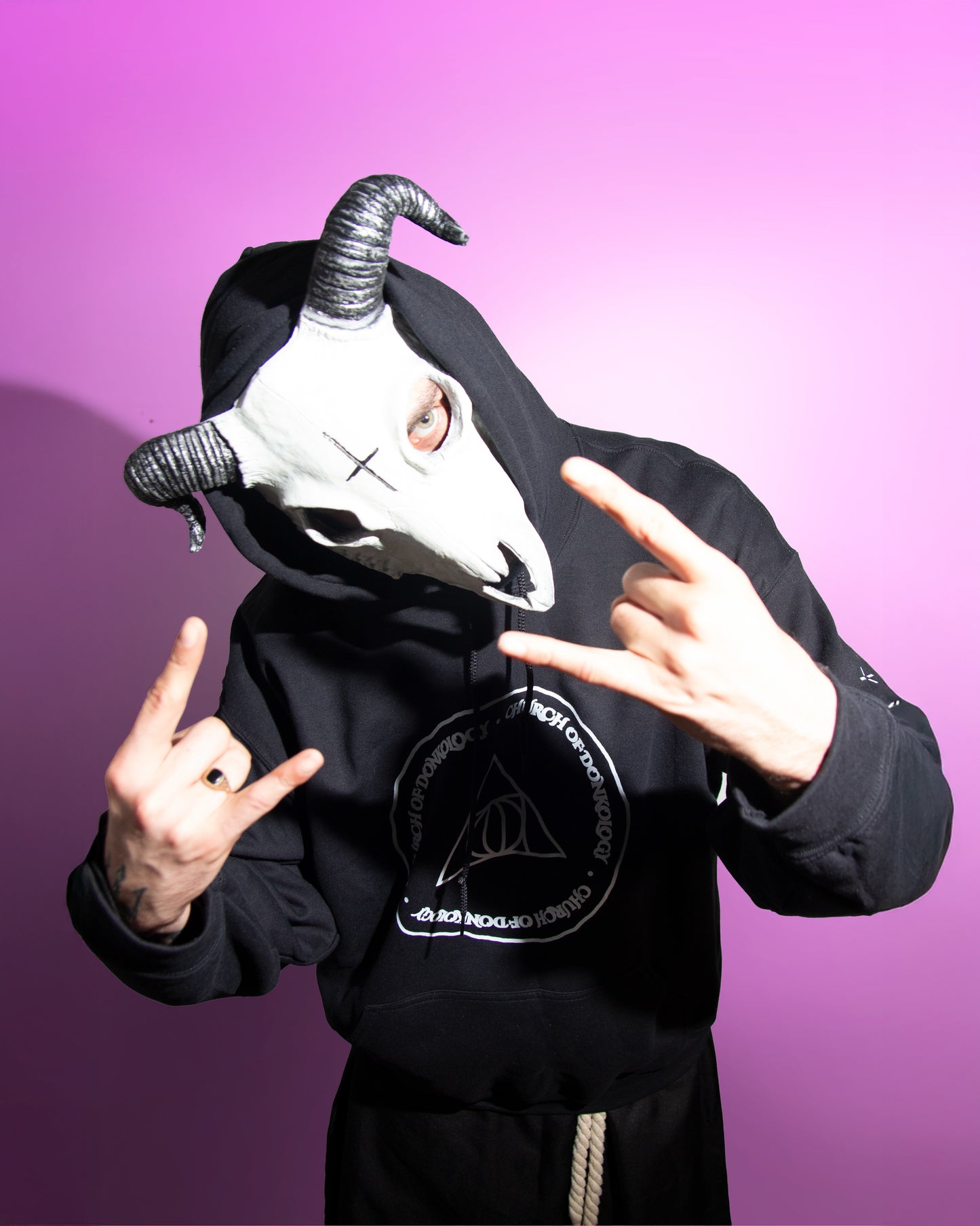 Church Of Donkology Hoodie